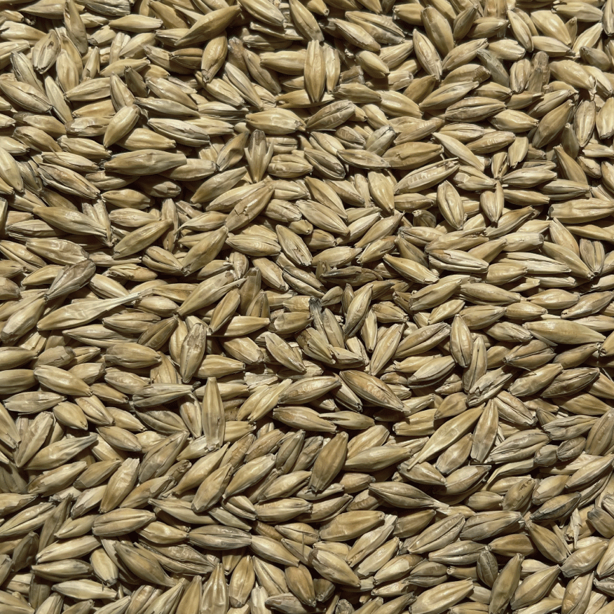 AC-Development-ingredients-barley